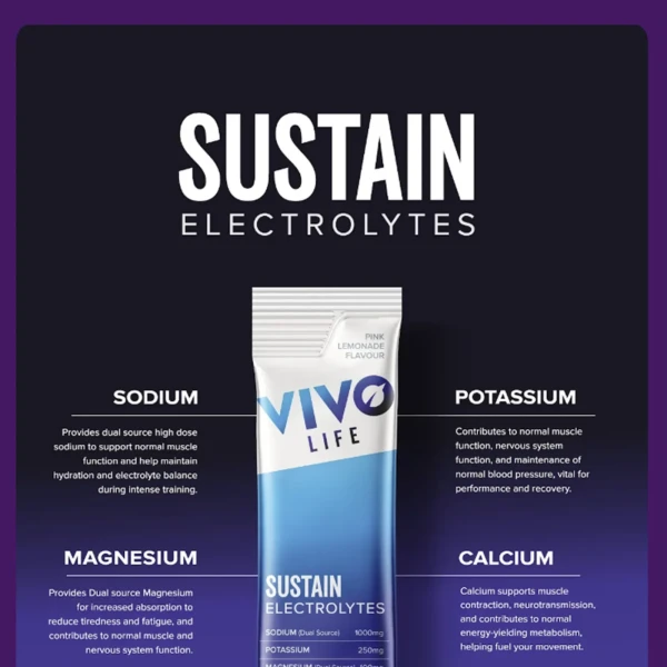 Vivo Life Case Study